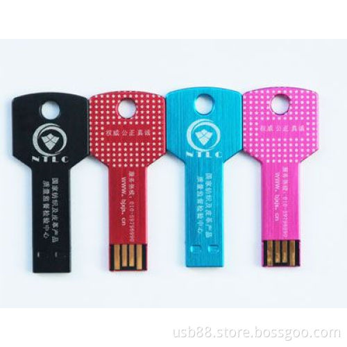 Key usb 2.0 memory(NK001) provided by Torovo usb 2.0 memory manufacturers